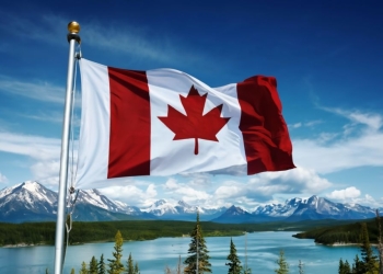 الصليب الأحمر الكندي يعلن عن فرص تطوع في مجال التواصل المجتمعي