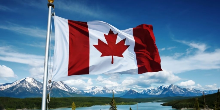 الصليب الأحمر الكندي يعلن عن فرص تطوع في مجال التواصل المجتمعي