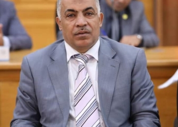 الدكتور رمضان الصاوي نائبًا لرئيس جامعة الأزهر للوجه البحري