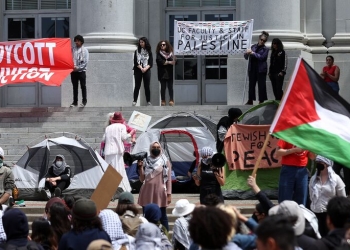 هولندا.. توقيف 125 متضامنا مع غزة في جامعة أمستردام