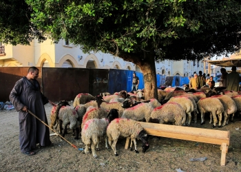 القومي للبحوث الفلكية يعلن موعد عيد الأضحى المبارك