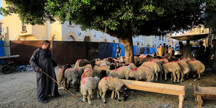 القومي للبحوث الفلكية يعلن موعد عيد الأضحى المبارك
