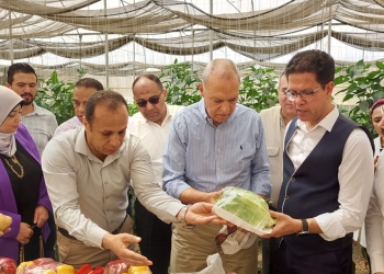 محافظ القليوبية ورئيس جامعة بنها يفتتحان موسم حصاد القمح ويتفقدان الوحدات الإنتاجية بكلية الزراعة