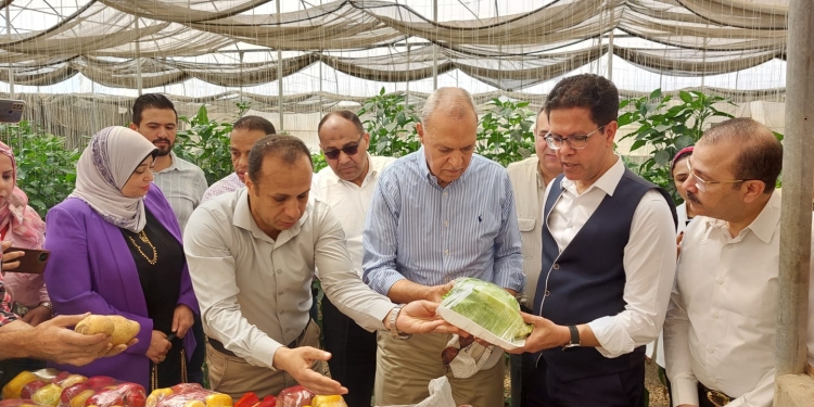 محافظ القليوبية ورئيس جامعة بنها يفتتحان موسم حصاد القمح ويتفقدان الوحدات الإنتاجية بكلية الزراعة