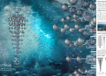 “الهندسة المعمارية” جامعة القاهرة الثالثة عالميًا فى مسابقة “الرئات المحيطة”