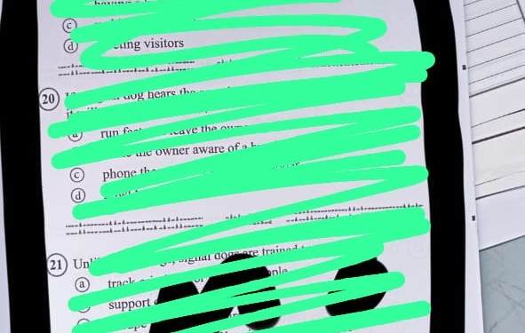 الثانوية العامة 2024.. الحذاء والبنطلون يقودا مراقب للنيابة