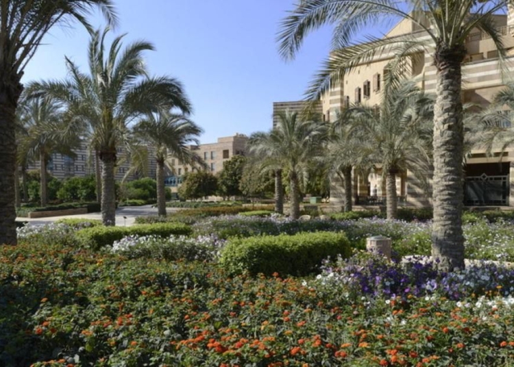 الجامعة الامريكية وتقرير الاستدامة