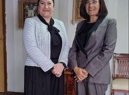 لدمج الأطفال ذوي الإعاقات البصرية فى المجتمع.. تعاون بين القومي للطفولة ومؤسسة "بصيرة"