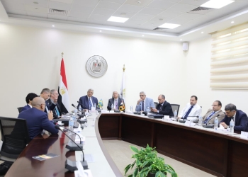 لقاء مصري سويدي بوزارة التعليم العالي لبحث التعاون المشترك