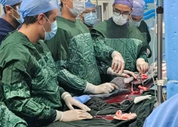 نجاح الفريق الطبي بمعهد القلب بإجراء قسطرة معقدة بإستخدام جهاز الإيكمو ECMO