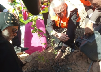 مبادرة لزراعة 100 مليون شجرة بغرب أسوان