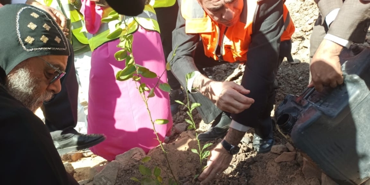 مبادرة لزراعة 100 مليون شجرة بغرب أسوان