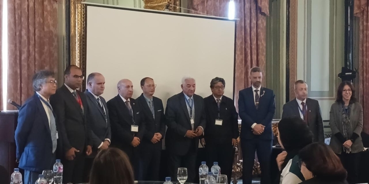 هندسة جامعة القاهرة تناقش التحضر المستدام وابتكار المدن المستقبلية بالتعاون مع ساوث إيست الصينية