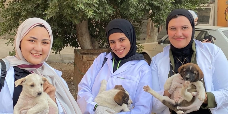 كلية الطب البيطري بالجامعة المصرية الصينية تطلق حملة لإنقاذ حيوانات الشوارع