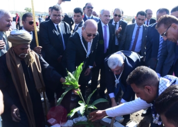 وزير التعليم العالي ورئيس جامعة سوهاج يشاركان بزراعة ٦٠ شجرة مثمرة باسم الجامعات والقوات المسلحة