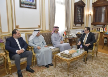 رئيس جامعة القاهرة والوفد الأماراتى