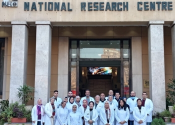 المركز القومى للبحوث