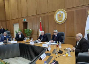 إنشاء فروع لجامعة القاهرة ودعم مصابي غزة.. أبرز قرارات المجلس الأعلى للجامعات