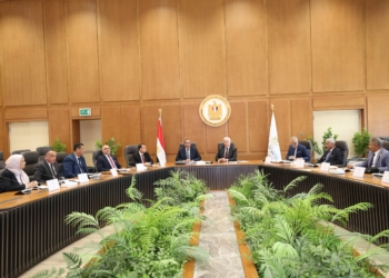 محمد محجوب عزوز رئيسًا لمجلس أمناء جامعة جنوب الوادي الأهلية