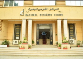 التعليم العالي: دعم الابتكار وريادة الأعمال في الصناعات النسيجية لتعزيز التصنيع المحلي