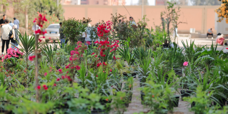 افتتاح معرض الزهور الثانى بجامعة بنها