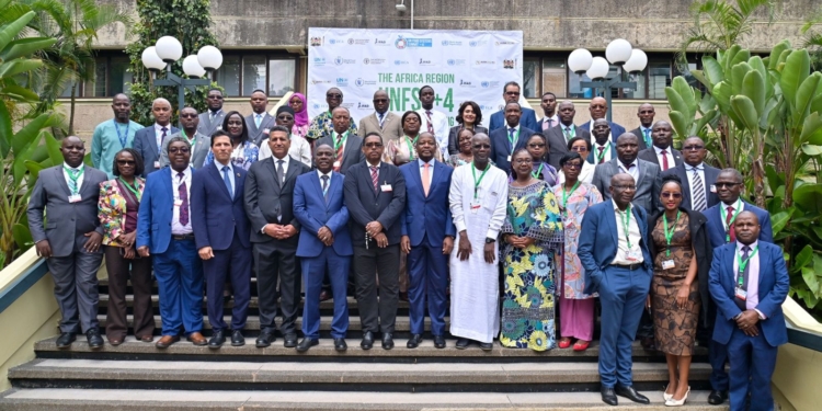 مساعد وزير الخارجية يعرض الأولويات التنموية والتمويلية والتكنولوجية أمام الاجتماع الأفريقي لتقييم قمم نظم الغذاء الأممية