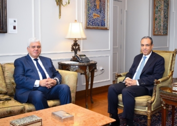 وزير الخارجية يرحب باهتمام التعليم العالي بفتح أفرع للجامعات المصرية بالخارج
