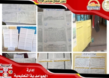 «الجيزة» تعلن نتائج صفوف النقل مجانًا بالمدارس والإعدادية بموقعها