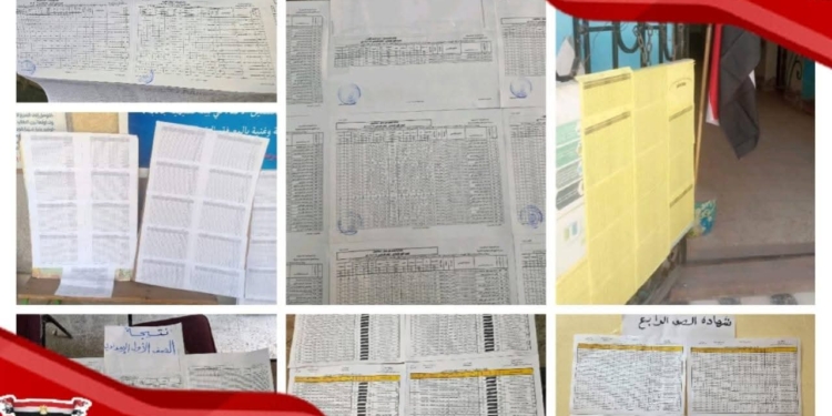  «الجيزة» تعلن نتائج صفوف النقل مجانًا بالمدارس والإعدادية بموقعها