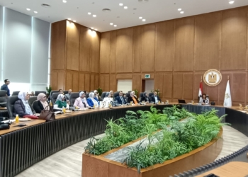 خطة التعليم العالي لرفع كفاءة مراكز خدمة الطلاب ذوي الإعاقة بالجامعات