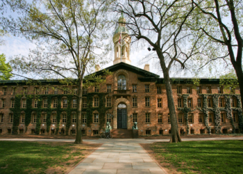 التخصصات الطبية في جامعة برينستون: مسارك نحو الطب يبدأ هنا