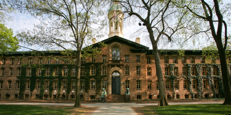 التخصصات الطبية في جامعة برينستون: مسارك نحو الطب يبدأ هنا