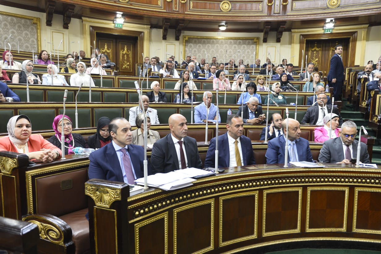 صفاء نوار تكتب.. مسارات جديدة التعليم بشروط