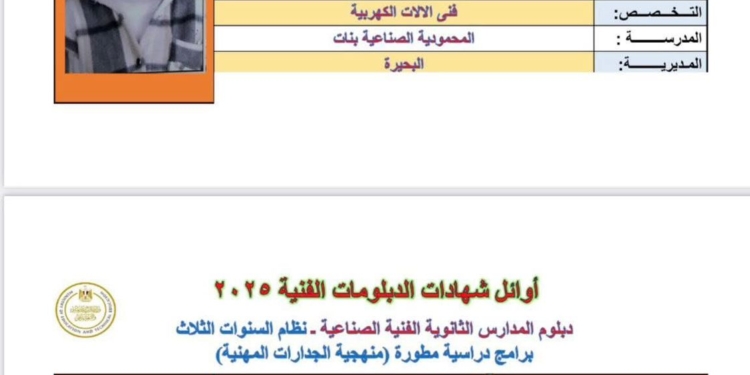 من اللجان إلى التريند.. التفاصيل الكاملة لاتهام أوائل الجمهورية بالدبلومات بالغش