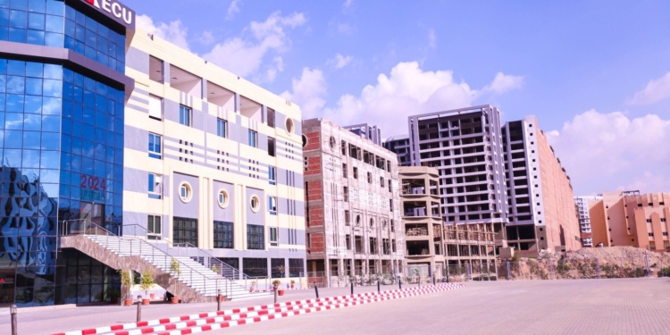 الجامعة المصرية الصينية تطلق 5 برامج رائدة بكلية الاقتصاد والتجارة الدولية