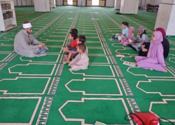 مكنسة سويدية ضد الكتاتيب المصرية.. تحذير صادم من المفكر محمد أبو الغار