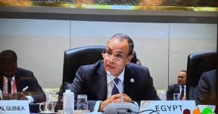 قمة «التيكاد» وآفاق شراكات التنمية في إفريقيا