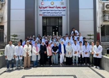 في الذكرى الـ52 لانتصارات أكتوبر.. البدء في إنشاء المجمع الطبي الجديد لجامعة العريش