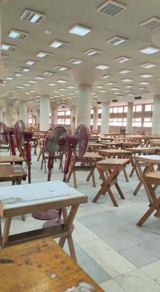طلاب فنون جميلة الزمالك يستغيثون بالرئيس: قرار النقل إلى حلوان يهدد مستقبل دفعة كاملة