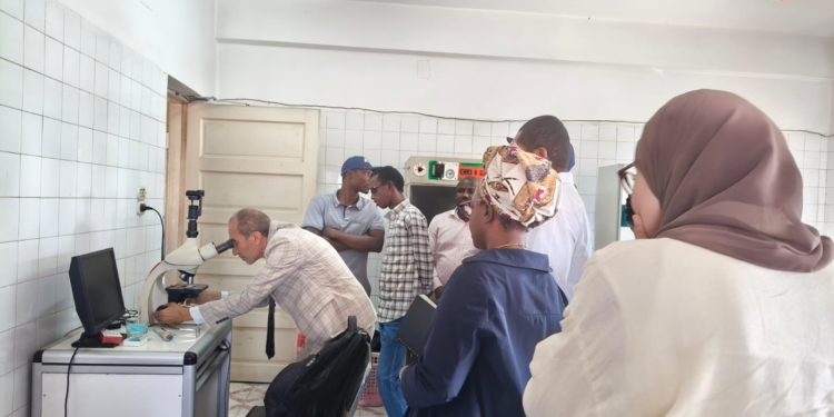 الوفد الافريقى فى مزارع السمك بالقناطر