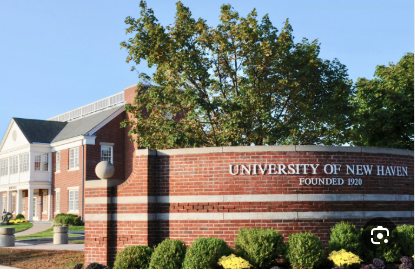 جامعة نيو هافن الأمريكية