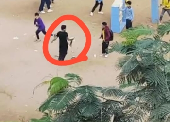 فصل 4 طلاب ومجازاة الإشراف ومدير مدرسة ابتدائي بالجيزة بسبب قطة ميتة