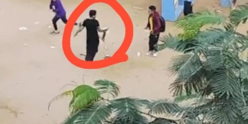 فصل 4 طلاب ومجازاة الإشراف ومدير مدرسة ابتدائي بالجيزة بسبب قطة ميتة