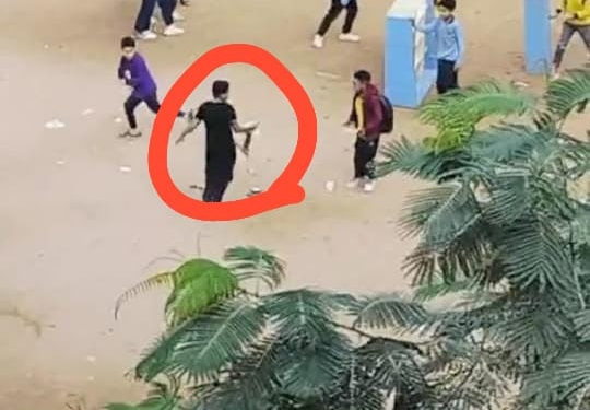 فصل 4 طلاب ومجازاة الإشراف ومدير مدرسة ابتدائي بالجيزة بسبب قطة ميتة