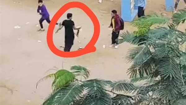 فصل 4 طلاب ومجازاة الإشراف ومدير مدرسة ابتدائي بالجيزة بسبب قطة ميتة