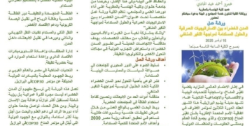 خدمة اجتماعية حلوان تنظم ندوة “قدرات بلا حدود” لتعزيز الوعي بحقوق ذوي الهمم