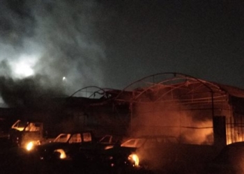 وزارةالزراعة تسيطر على جريق محدود بالمتحف الزراعى