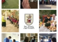 جامعة القاهرة تشكّل لجنة لتعظيم كفاءة استخدام الأصول غير المستغلة
