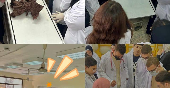 جامعة القاهرة الأهلية تعزز التدريب العملي لطلاب العلاج الطبيعي داخل معامل التشريح المتقدمة بجامعة القاهرة الأم