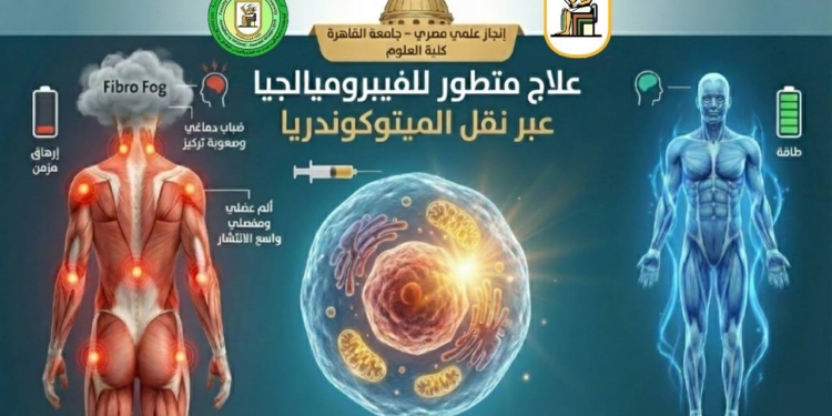 من قلب الخلية.. علماء جامعة القاهرة يقتربون من فك لغز “الفيبروميالجيا”